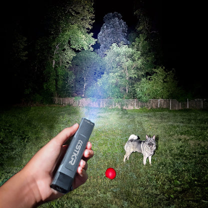 LP-EDC 5.0 Low Profile Everyday Carry Ultra-Thin Flashlight shining out into a backyard with a dog looking back at camera